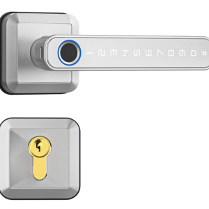 1.Fingerprint 2.Password+IC card 3.Key 4.TUYA Bluebooth /TTLOCK APP Bluebooth 5.Zinc alloy materials 6. 4AAA battery